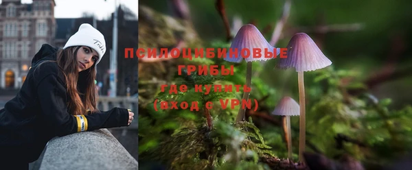 мяу мяу мука Балабаново