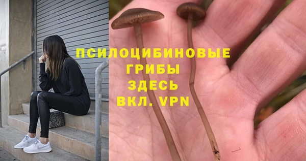 мяу мяу мука Балабаново