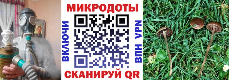 Псилоцибиновые грибы Cubensis  где купить наркотик  маркетплейс клад  Богучар 